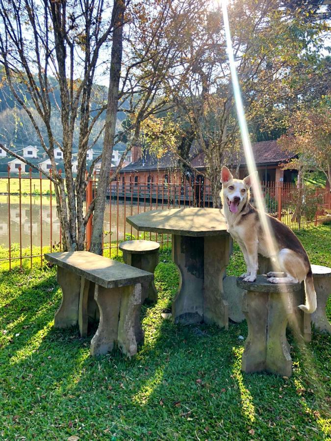 Pousada Parque Das Pitangueiras Flores da Cunha Esterno foto