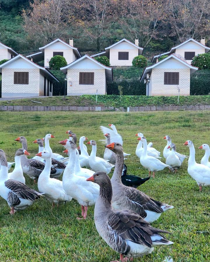 Pousada Parque Das Pitangueiras Flores da Cunha Esterno foto