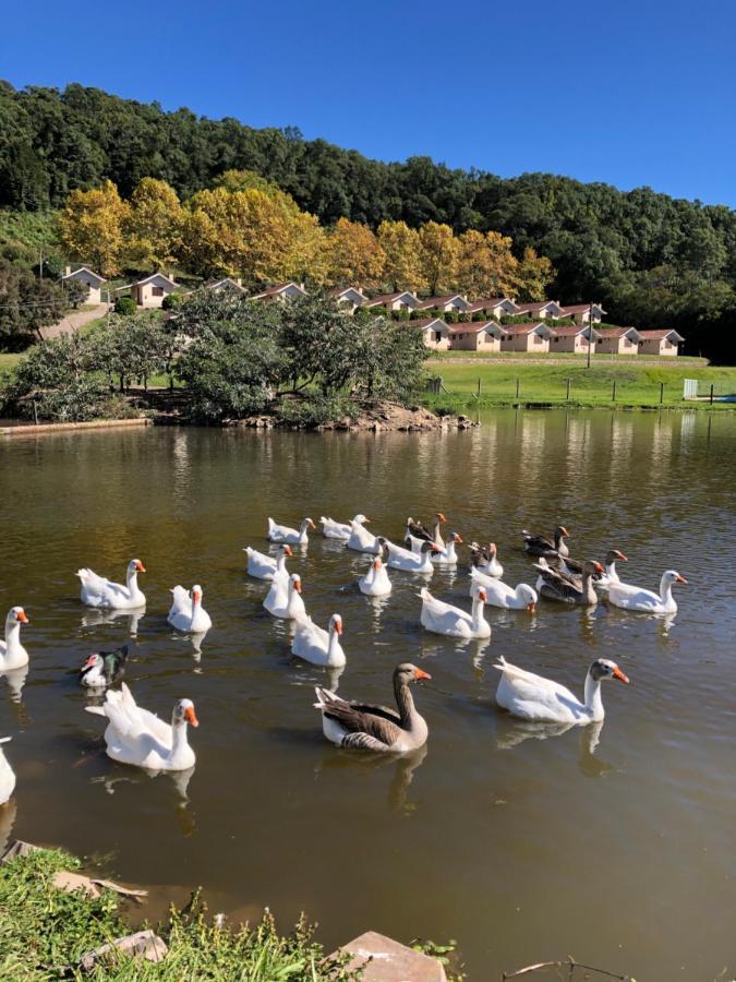 Pousada Parque Das Pitangueiras Flores da Cunha Esterno foto