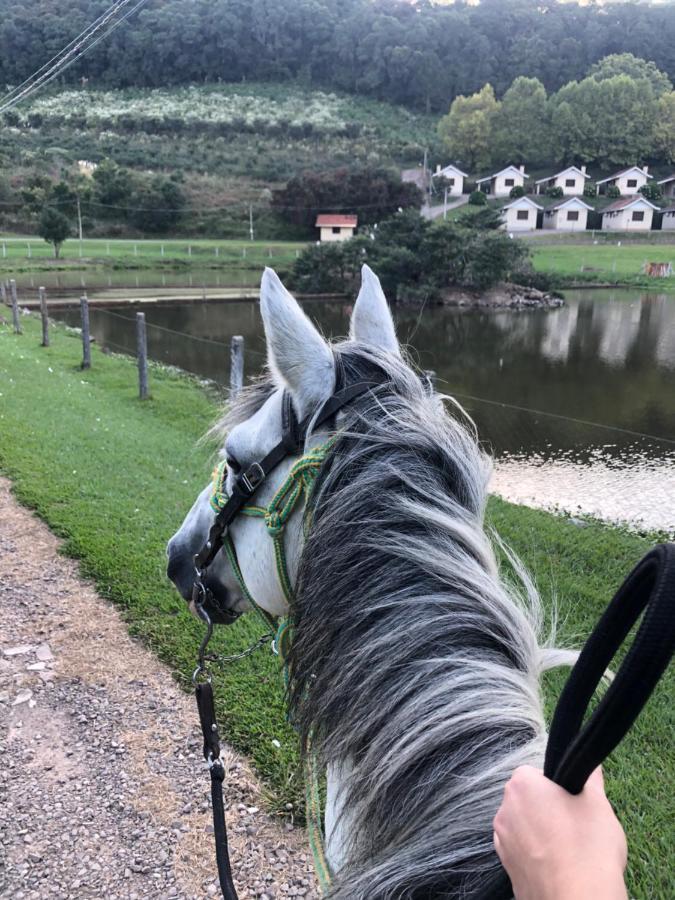 Pousada Parque Das Pitangueiras Flores da Cunha Esterno foto